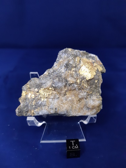 Dana Sample 8196 - Gold