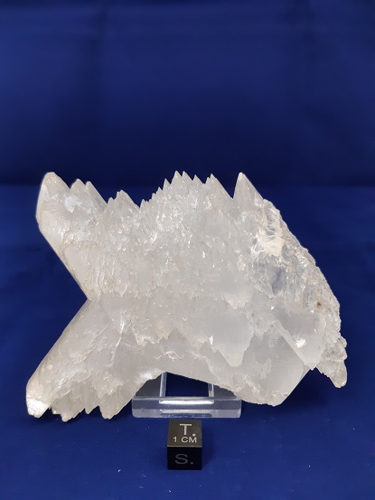 Dana Sample 8305 - Gypsum variety Fishtail Selenite