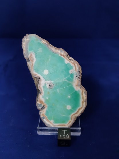 Dana Sample 8308 - Variscite