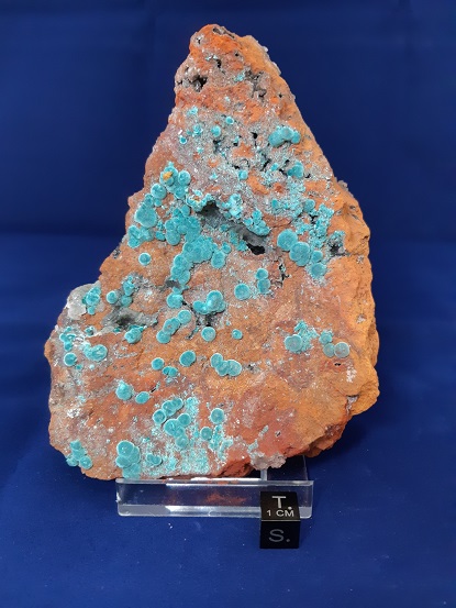 Dana Sample 8309 - Rosasite
