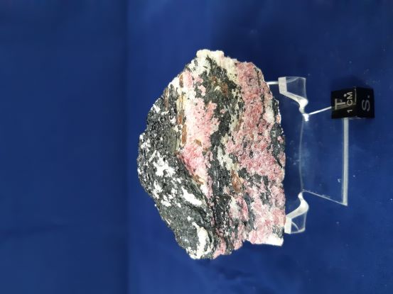 Dana Sample 2971 - Eudialyte