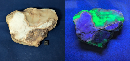 753_Opal_Dana_Split_415.jpg
