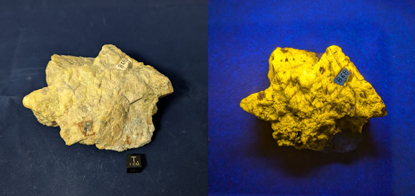 868_Scapolite_Dana_Split_415.jpg