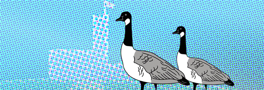 Geese icons on blue background and geometric representation of University College.