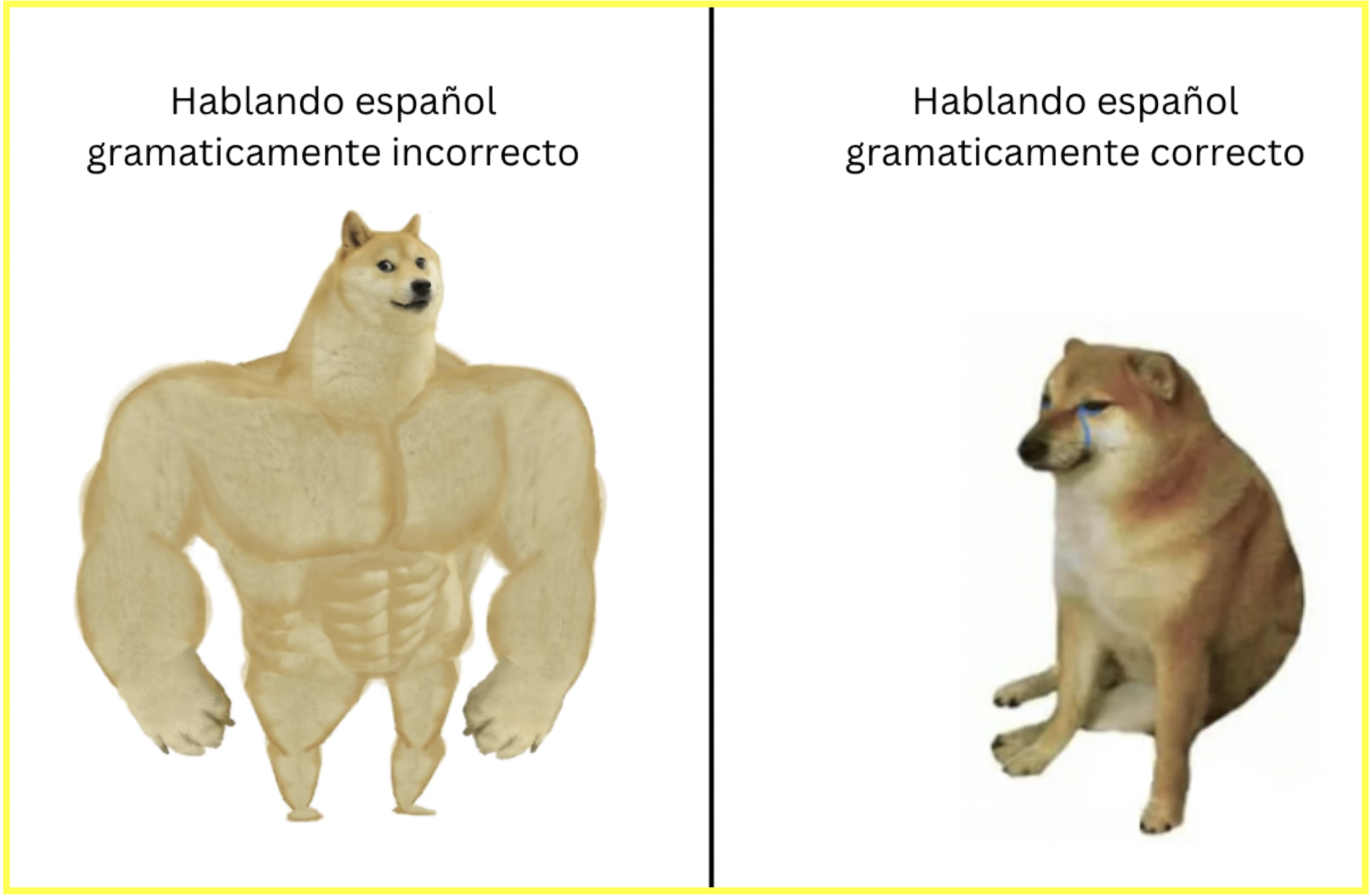 Meme 1